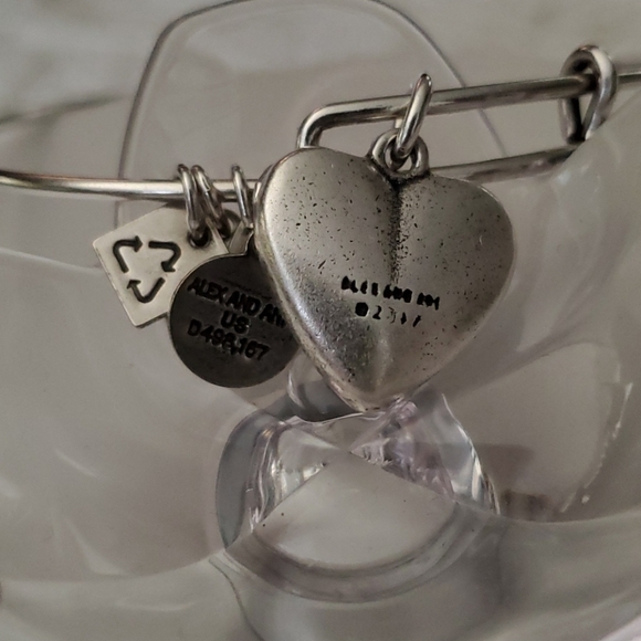 Alex and Ani Charity by Design Living Water II EWB - Picture 3 of 4